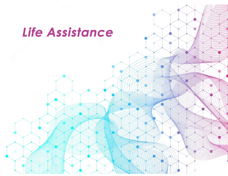 Life Assistance